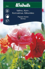 Valmue korn 'Shirley'